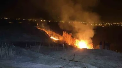 Van’da sazlık alanda çıkan yangın kontrol altına alındı