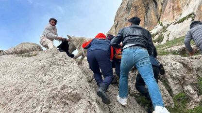 Van’da kayalıklarda mahsur kalan eşek kurtarıldı