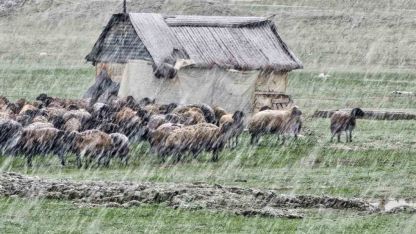 Muş’ta nisan karı etkisini sürdürüyor: 22 köy yolu ulaşıma kapandı