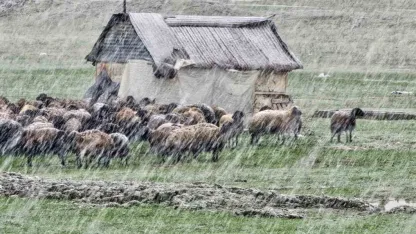 Muş’ta nisan karı etkisini sürdürüyor: 22 köy yolu ulaşıma kapandı