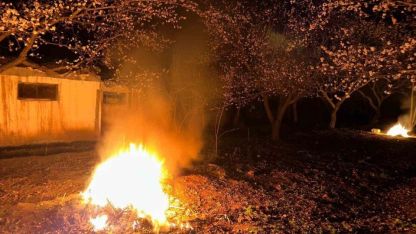 Kayısı bahçelerini ateş ve dumanla donmaya karşı koruyorlar