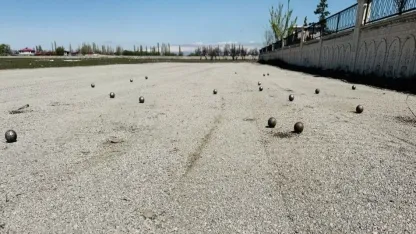 Bocce sporuna büyük destek