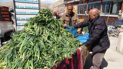 Van’da şifa kaynağı ‘çiriş otu’ tezgahlardaki yerini aldı
