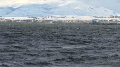 Van YYÜ Su Ürünleri Fakültesi Dr. Öğretim Üyesi Mustafa Akkuş: "Bu yıl yüzleri güldürecek bir tablo mevcut"