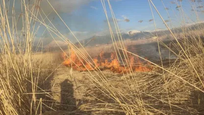 Muradiye'de Sazlık Yangını