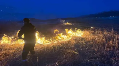 Van’da 2 farklı sazlık alanda yangın çıktı