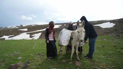 Çiriş otu köylülerin geçim kaynağı oldu