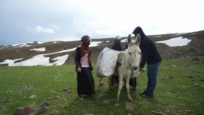 Çiriş otu köylülerin geçim kaynağı oldu