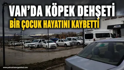 Van’da köpek dehşeti! 5 yaşındaki çocuk hayatını kaybetti