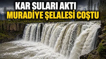 Muradiye Şelalesi kar suları ile coştu