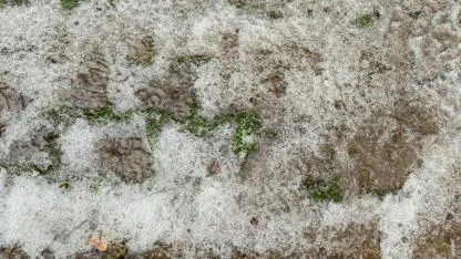 Ağrı dolu yağışıyla beyaza büründü