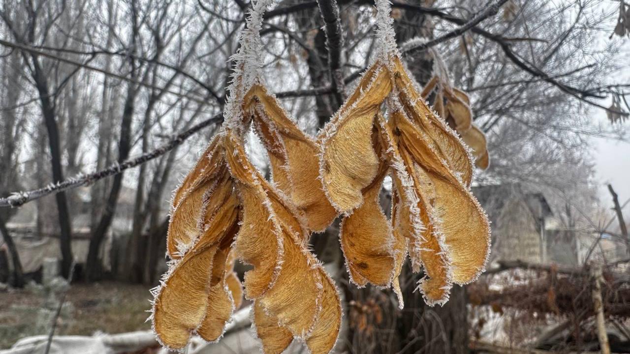 (Videolu Haber) Ağrı’da bahar ortasında dondurucu soğuk