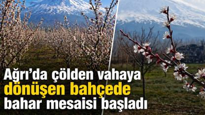 Ağrı’da çölden vahaya dönüşen bahçede bahar mesaisi başladı