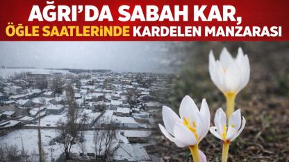 Ağrı’da sabah kar, öğle saatlerinde kardelen manzarası (Videolu Haber)