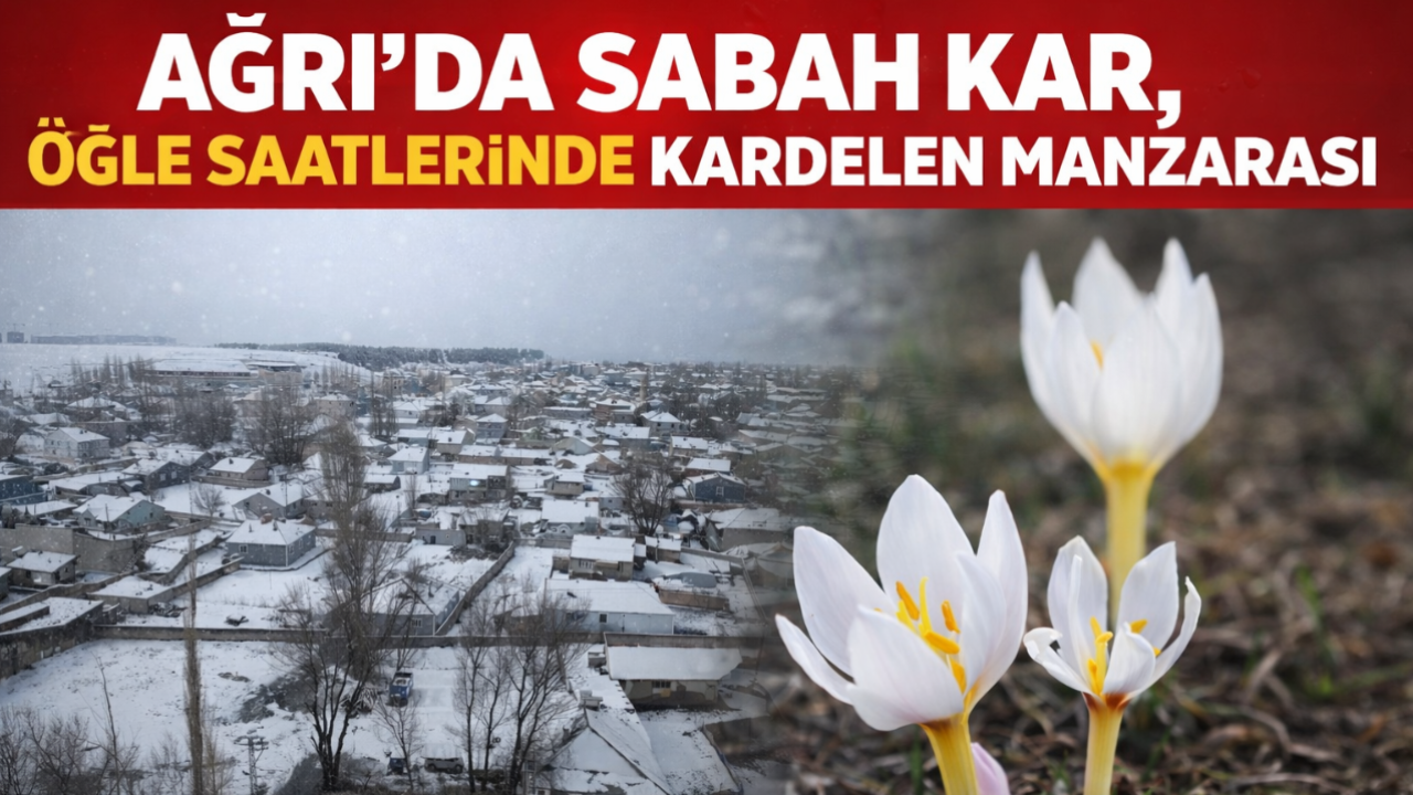 Ağrı’da sabah kar, öğle saatlerinde kardelen manzarası (Videolu Haber)