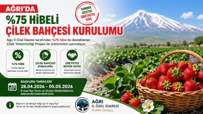 Ağrı’da Tarıma Bir Destek Daha: Çilek Yetiştiriciliğine %75 Hibe