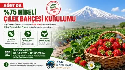 Ağrı’da Tarıma Bir Destek Daha: Çilek Yetiştiriciliğine %75 Hibe