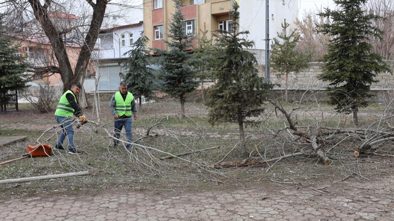 Ağrı’da yeşil alanlarda Bahar mesaisi başladı