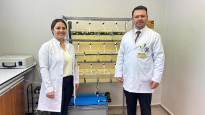 Ağrı’da zebra balıklarıyla hastalıklara umut aranacak