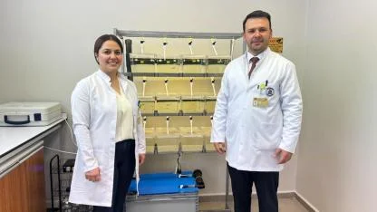 Ağrı’da zebra balıklarıyla hastalıklara umut aranacak