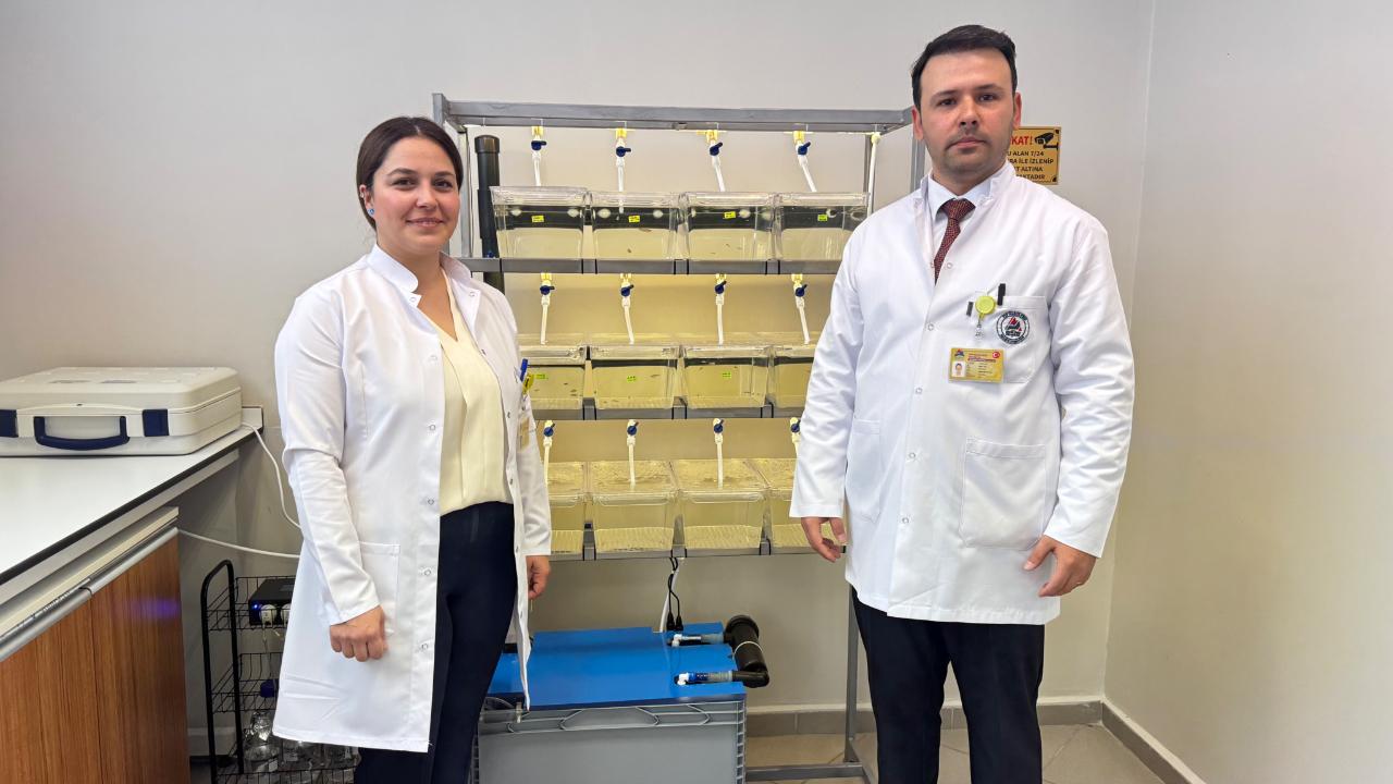 Ağrı’da zebra balıklarıyla hastalıklara umut aranacak