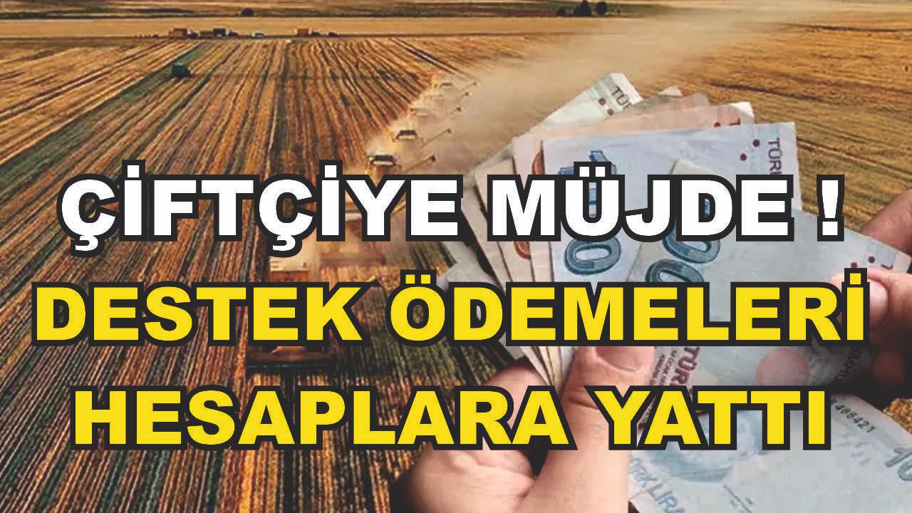 Çiftçilere Müjdeli Haber! Planlı Üretim Destekleme Ödemeleri Hesaplara Yattı