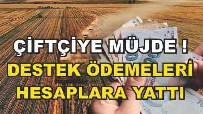 Çiftçilere Müjdeli Haber! Planlı Üretim Destekleme Ödemeleri Hesaplara Yattı