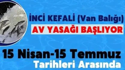 Erciş’te İnci Kefali İçin 7/24 Sıkı Denetim
