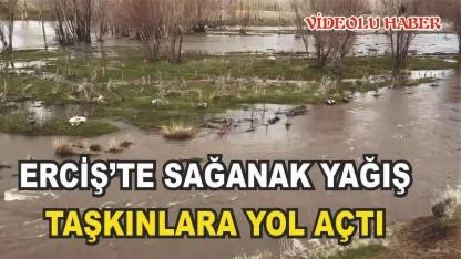 Erciş’te Sağanak Yağış Taşkına Neden Oldu: Tarım Arazileri Sular Altında Kaldı