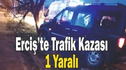 Erciş’te Trafik Kazası: 1 Yaralı