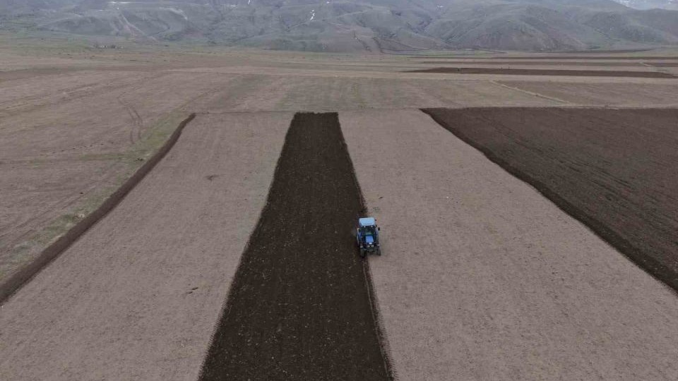 Iğdır’da ekin sezonu başladı