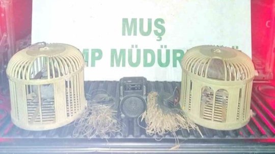 Jandarma'dan kaçak keklik avına suçüstü: 65 bin TL ceza kesildi