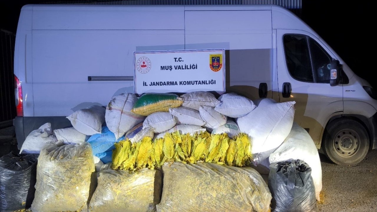Kaçak tütüne geçit yok; 1 ton 200 kilogram bandrolsüz tütün ele geçirildi