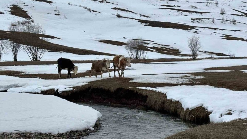 Kış mevsiminin uzaması hayvancılığı vurdu