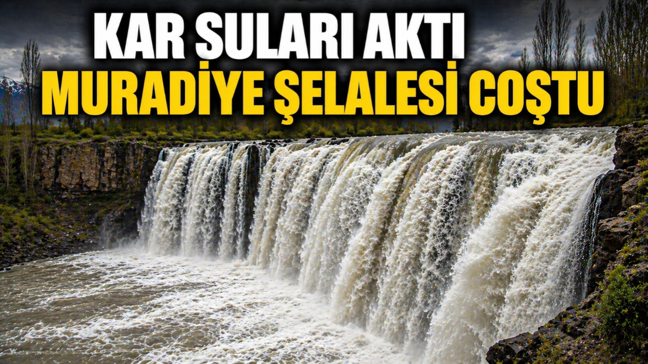 Muradiye Şelalesi kar suları ile coştu