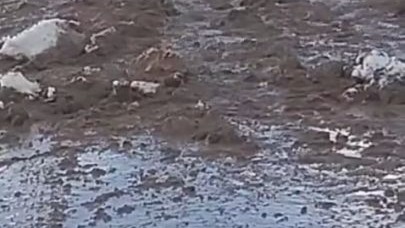 Muş'ta heyelan nedeniyle kapanan Hasköy-Mutki yolu açıldı