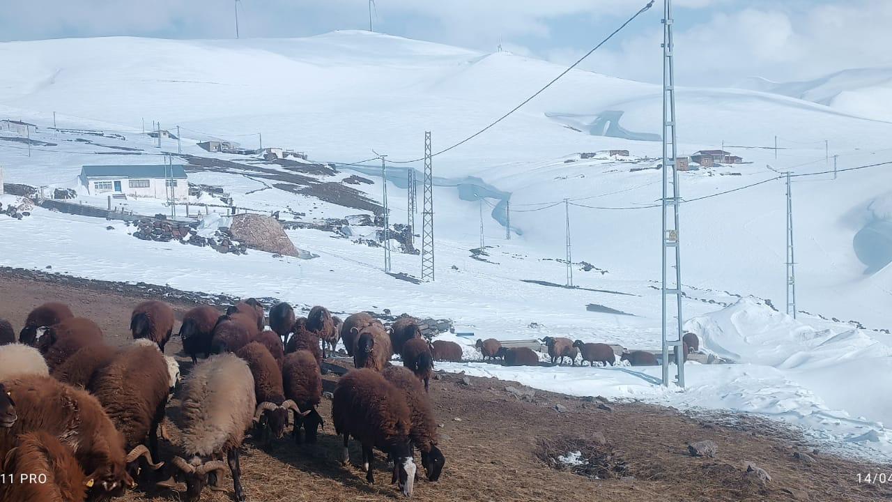 Nisan’da kış geri döndü, kapanan yol saatler sonra açıldı