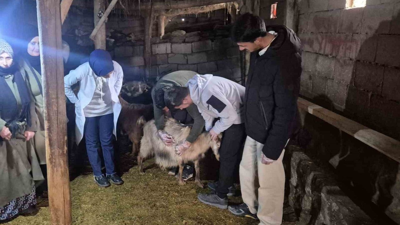 Özalp’te çiftçilere yönelik eğitim seferberliği başlatıldı