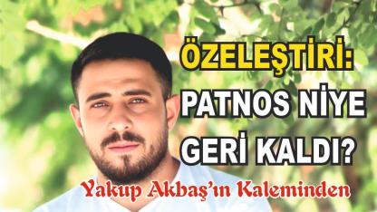 ÖZELEŞTİRİ: PATNOS NİYE GERİ KALDI?