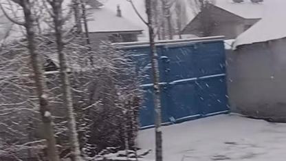 Patnos güne yine karla uyandı