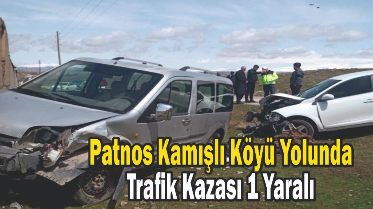 Patnos Kamışlı Köyü Yolunda Trafik Kazası 1 Yaralı