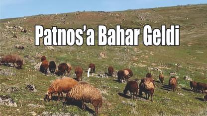 Patnos’a Bahar Geldi