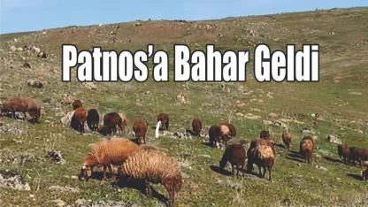Patnos’ta Bahar Geldi