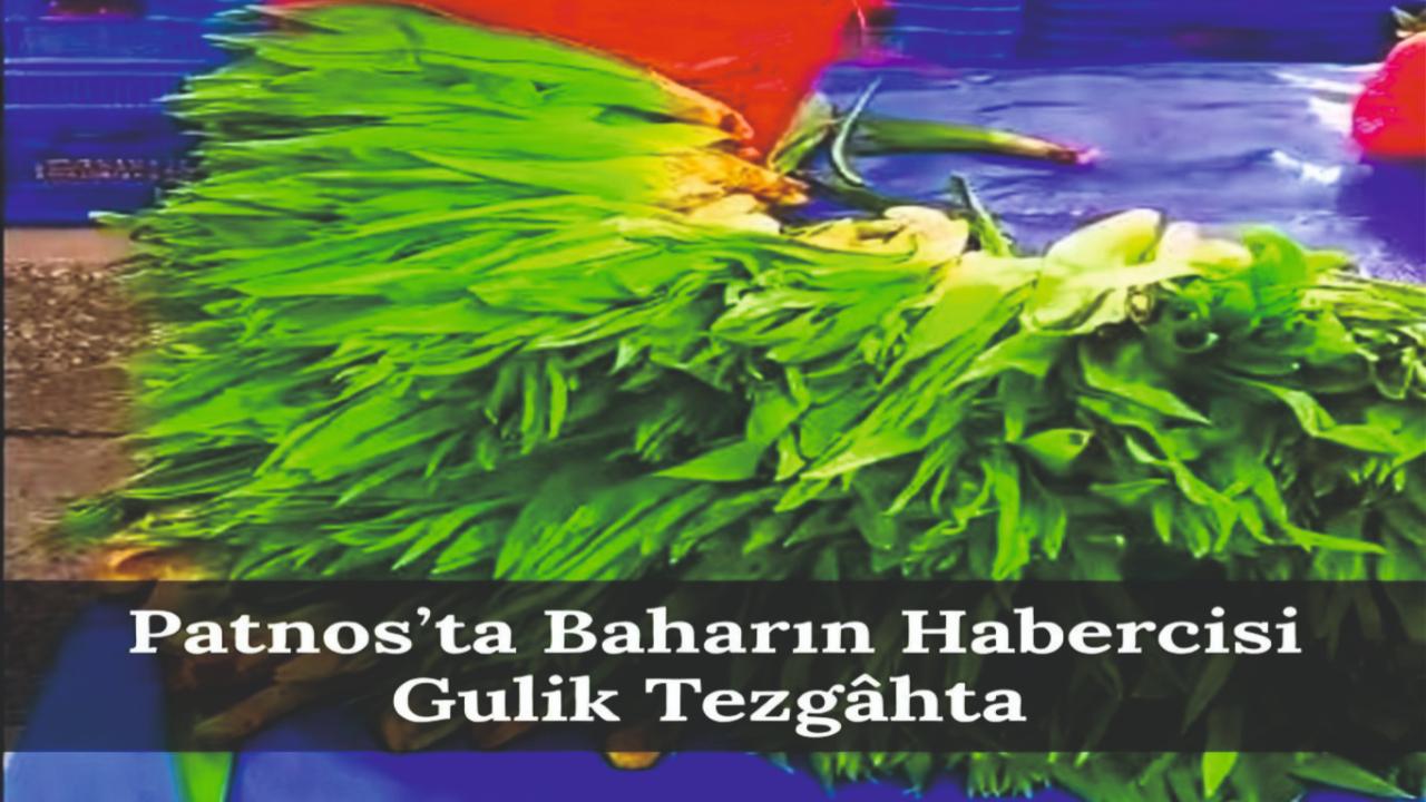 Patnos’ta Baharın Habercisi: Çiriş (Gulik) Tezgâhlarda Yerini Aldı