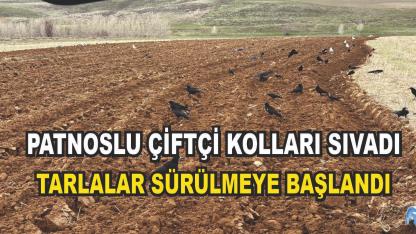 Patnos'ta Çiftçiler Bahar Mesaisine Başladı (Videolu Haber)