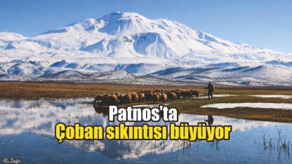 Patnos’ta çoban sıkıntısı büyüyor