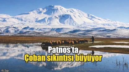 Patnos’ta çoban sıkıntısı büyüyor