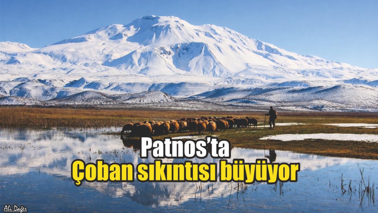 Patnos’ta çoban sıkıntısı büyüyor