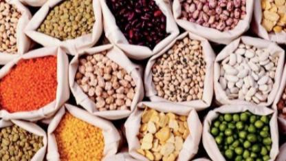 GIDA ÜRÜNLERİ SATIN ALINACAKTIR