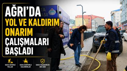 Ağrı'da yol ve kaldırım çalışması